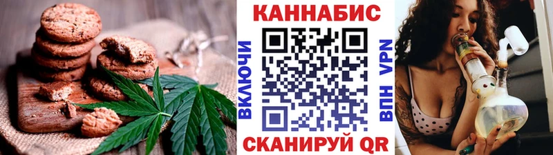 МЕГА ТОР  купить наркотик  Няндома  Canna-Cookies марихуана 