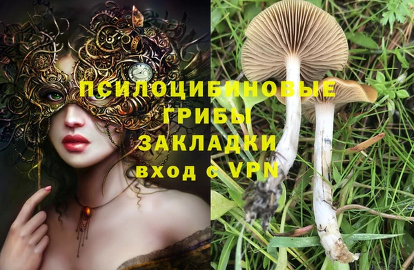 MESCALINE Елизово