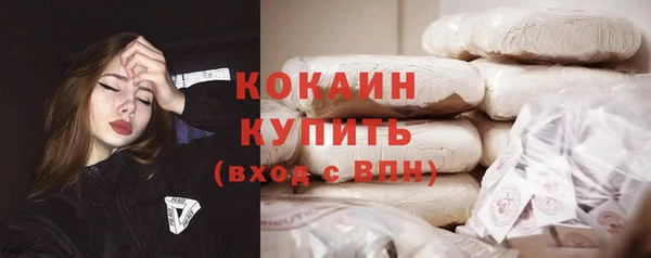 прущая мука Ельня