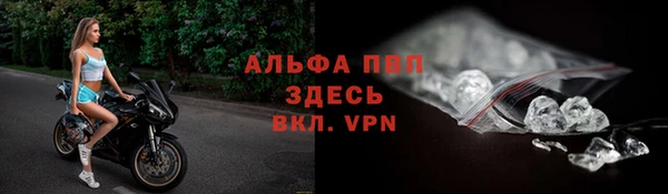 прущая мука Ельня