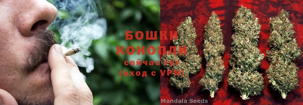 спайс Мензелинск