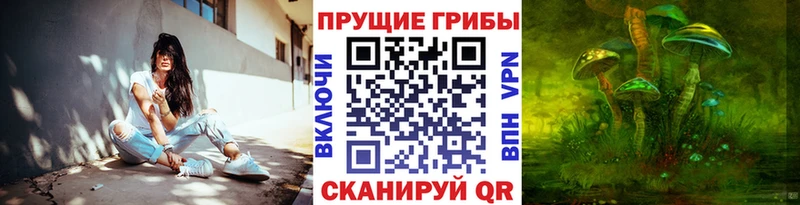 Галлюциногенные грибы Psilocybine cubensis Няндома