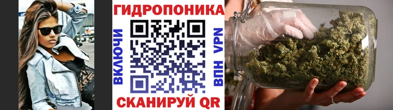 МАРИХУАНА Amnesia  Няндома 